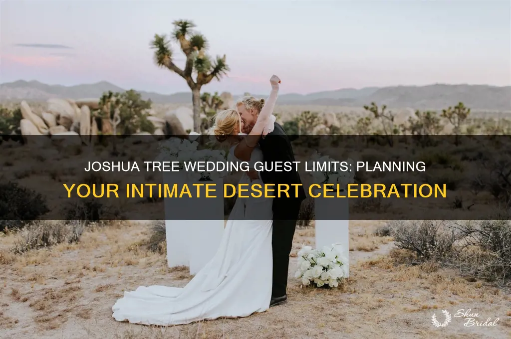 how many guests allowed joshua tree wedding