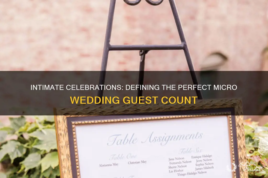 how many guests are in a micro wedding