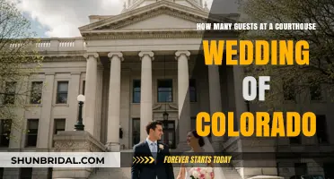 Colorado Courthouse Wedding: Ideal Guest Count for an Intimate Ceremony