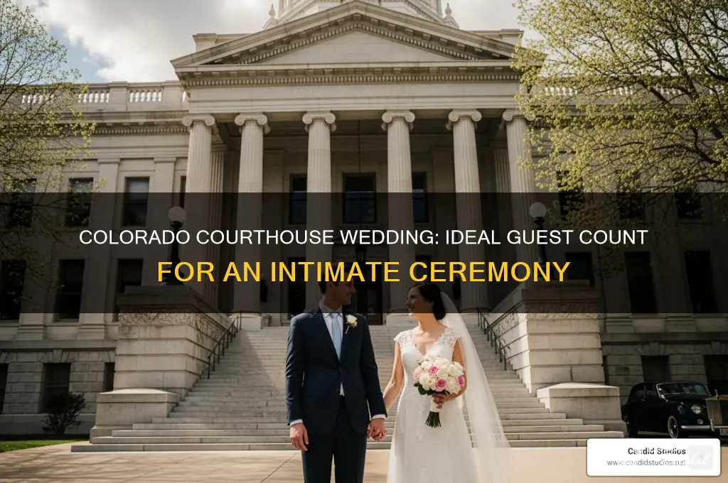 how many guests at a courthouse wedding of colorado