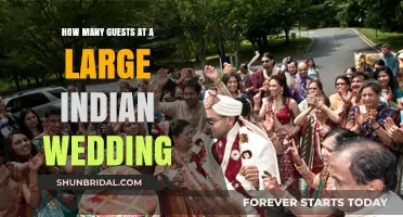 Understanding Guest Counts at Grand Indian Wedding Celebrations