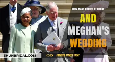 Harry and Meghan's Royal Wedding: Unveiling the Guest List Count