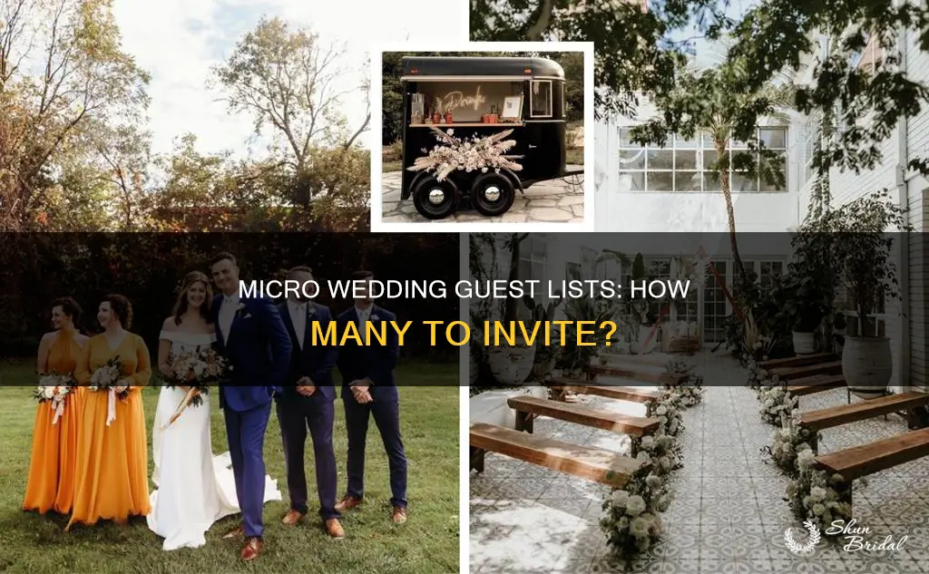 how many guests do you need for a micro wedding