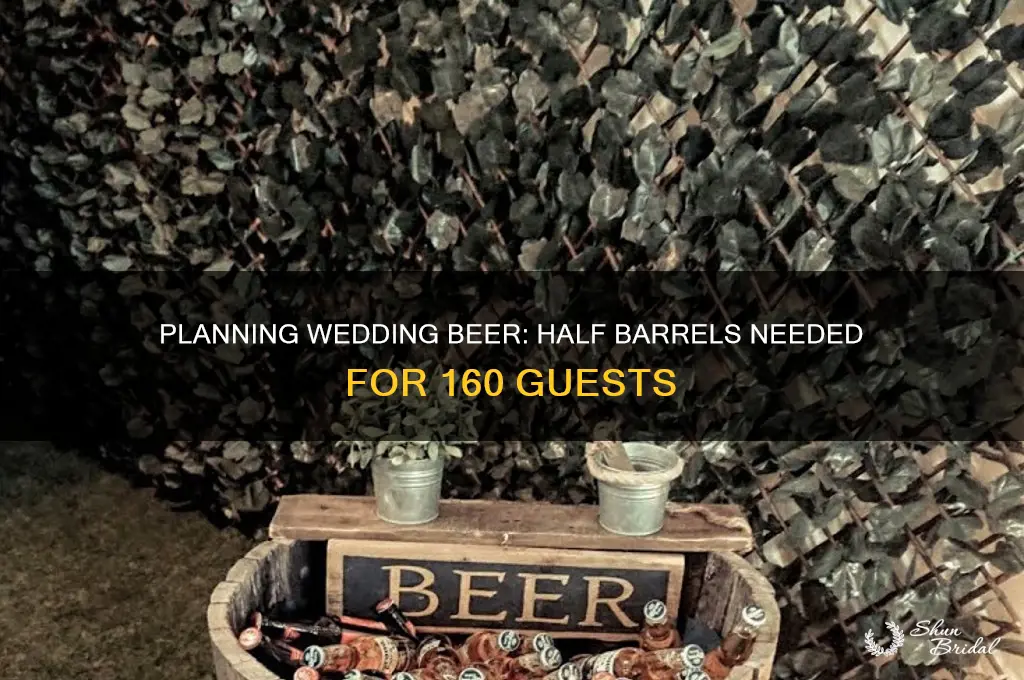 how many half barrels of beer for wedding of 160