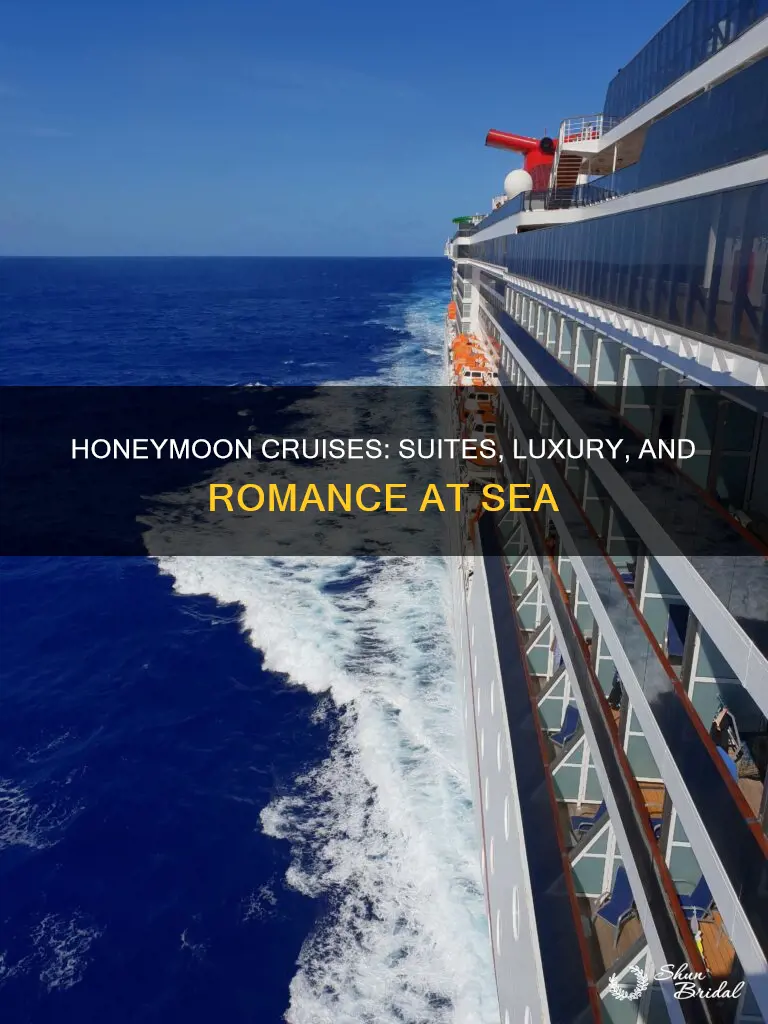 how many honeymoon suites cruises