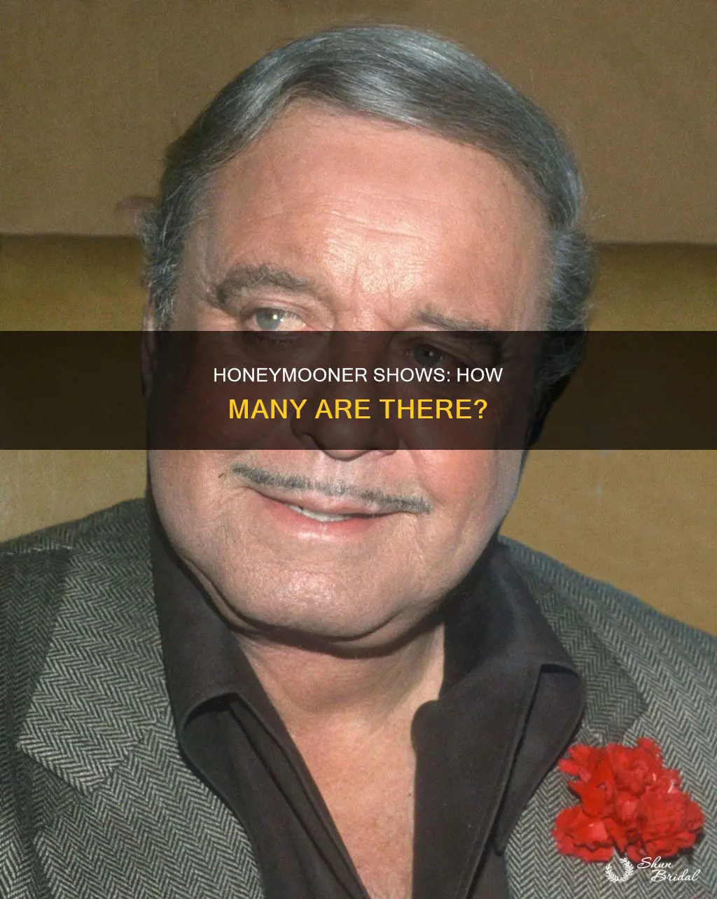 how many honeymooner shows
