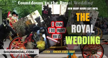 Countdown to the Royal Wedding: How Many Hours Remain?