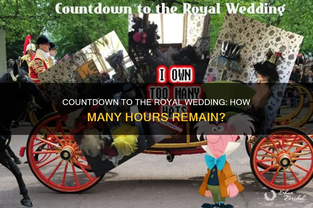 how many hours left until the royal wedding