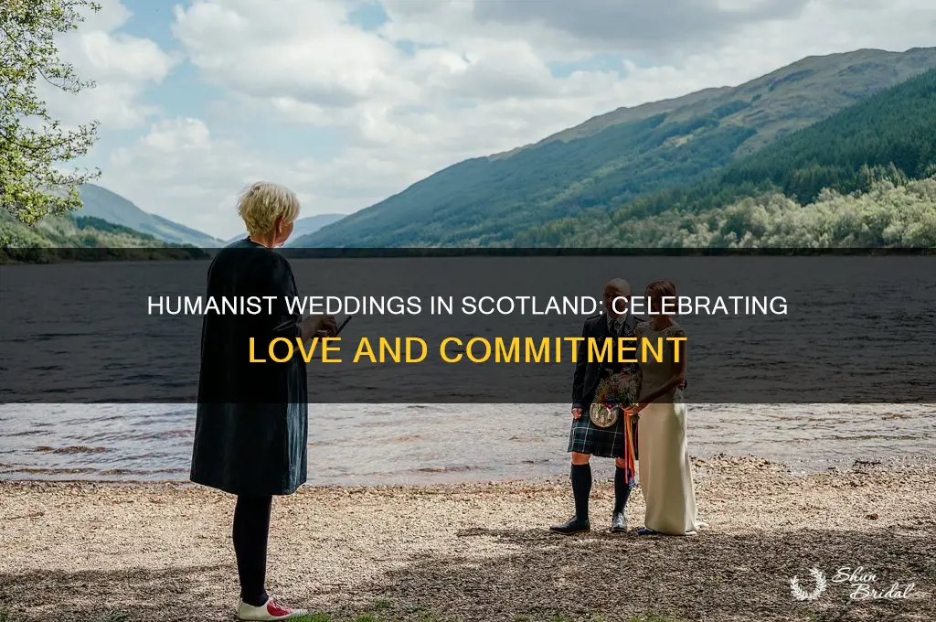 how many humanist weddings in scotland