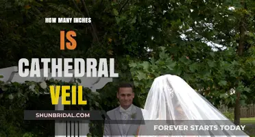 Cathedral Veil Length Guide: How Many Inches is Ideal?