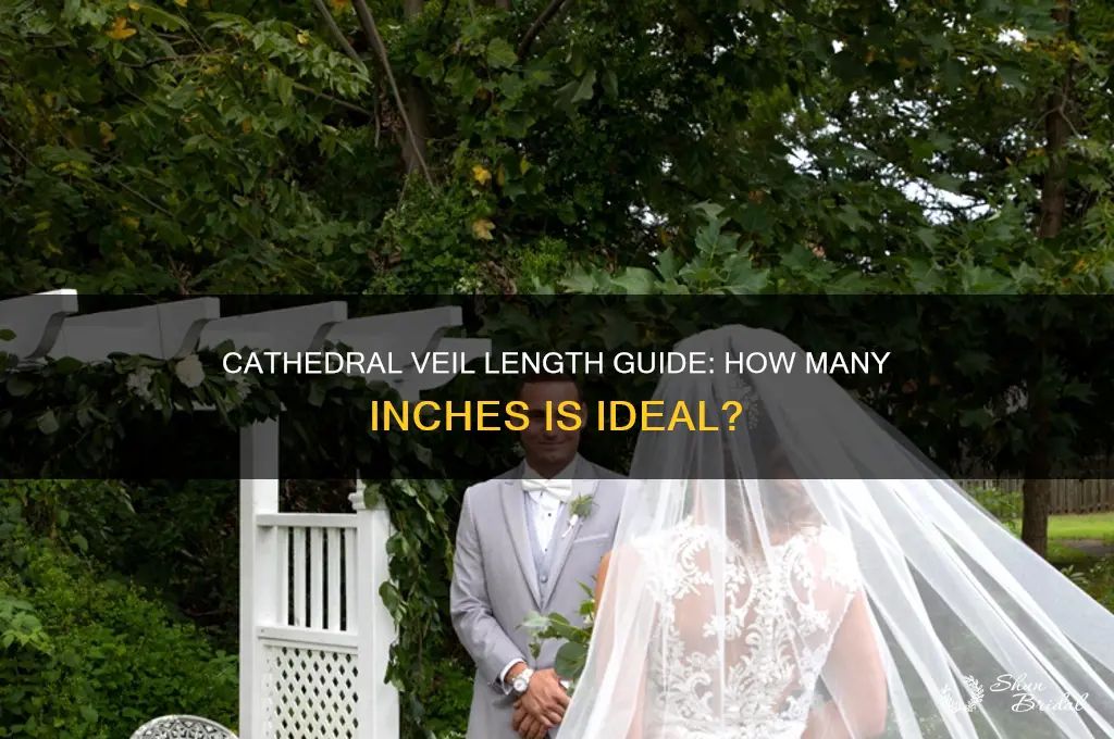 how many inches is cathedral veil