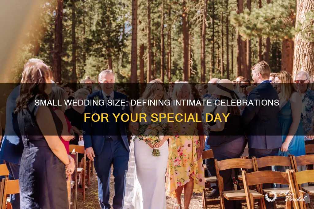 how many is a small wedding