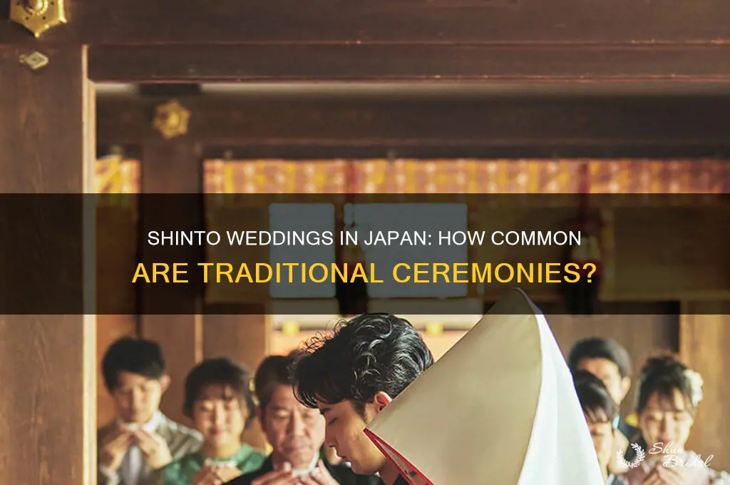how many japanese people have shinto weddings