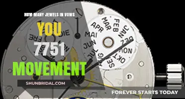 Exploring the Jewel Count in the ETA 7751 Movement's Vows