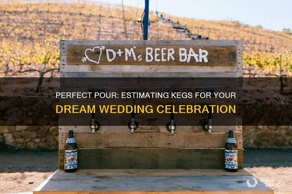 how many kegs at a wedding