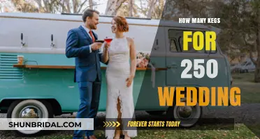 Planning Your Wedding Bar: Keg Quantity Guide for 250 Guests