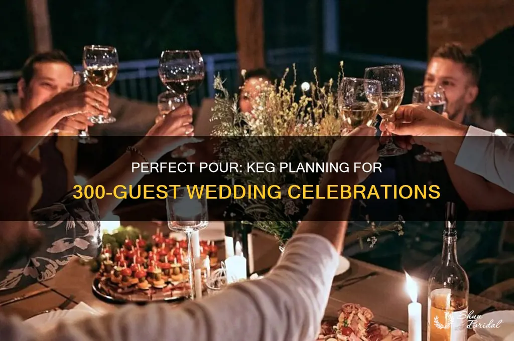 how many kegs for 300 people wedding