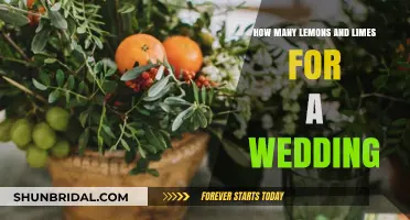 Perfect Citrus Count: Lemons and Limes for Your Wedding Celebration