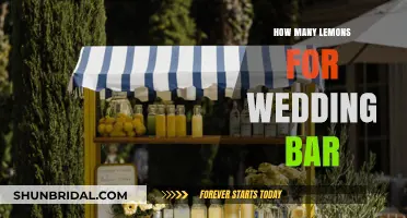 Perfecting Your Wedding Bar: How Many Lemons Should You Prepare?