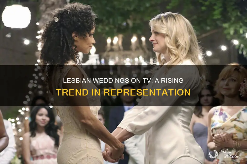 how many lesbian weddings on tv