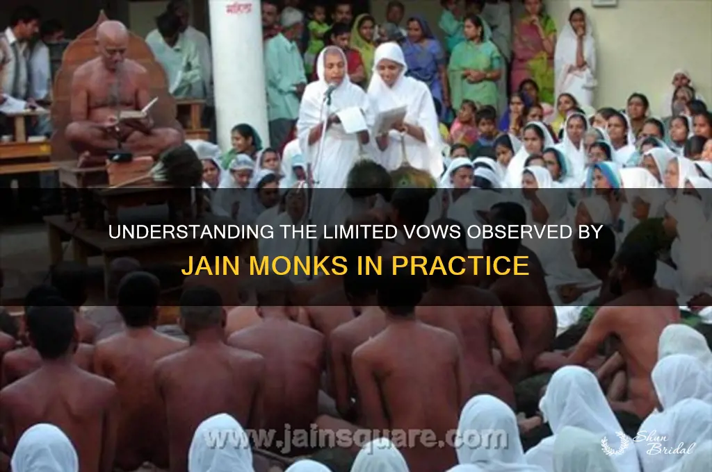 how many limited vows apply to jain monks