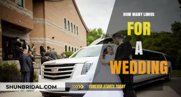 Choosing the Perfect Limo Fleet Size for Your Dream Wedding