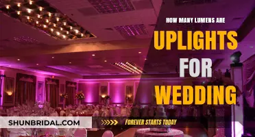 Choosing the Perfect Uplighting Lumens for Your Dream Wedding
