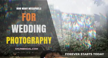 Megapixels for Wedding Photography: How Many Do You Need?