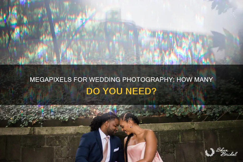 how many megapixels for wedding photography