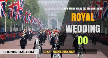 Royal Wedding Horses: Unveiling Their Mileage and Majestic Role