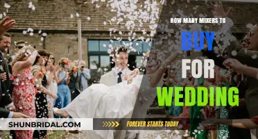 Choosing the Right Number of Mixers for Your Wedding Reception