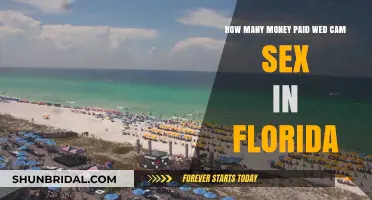 Florida Webcam Sex Payments: Understanding the Financial Dynamics