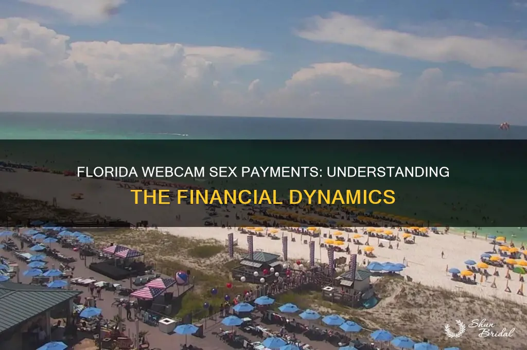 how many money paid wed cam sex in Florida