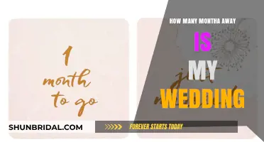 Counting Down to Your Big Day: How Many Months Until Your Wedding?