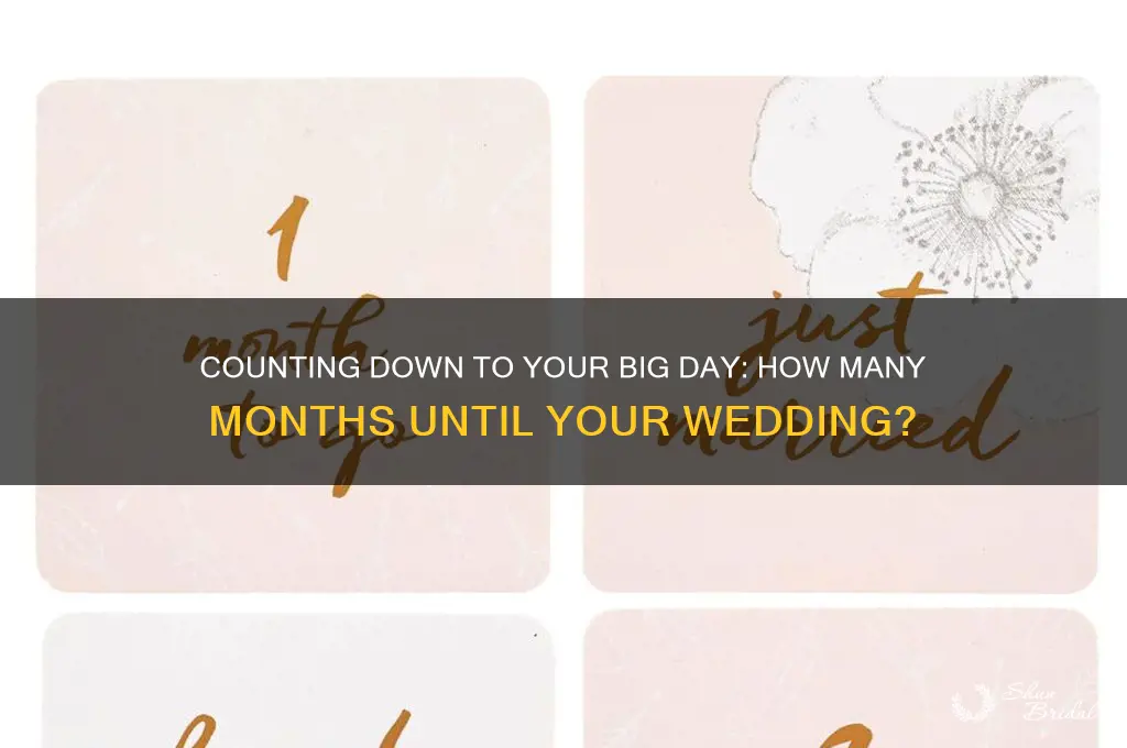 how many montha away is my wedding