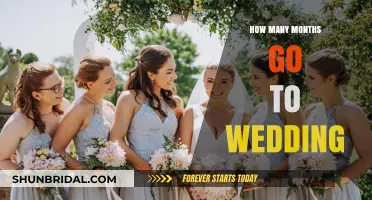 Planning Your Perfect Wedding: Ideal Timeline for Months to Go