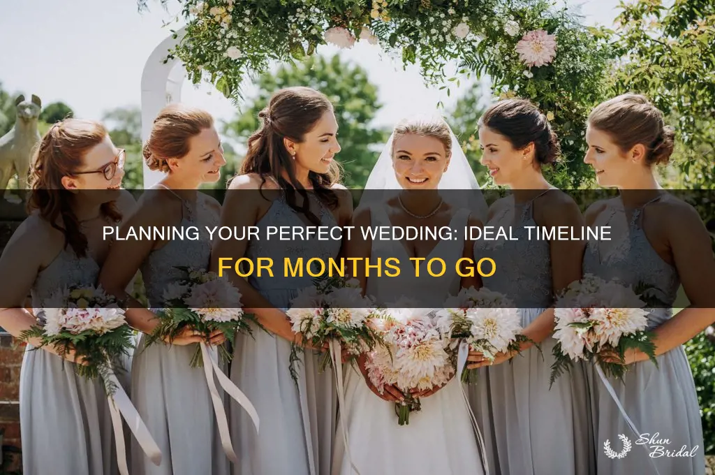 how many months go to wedding