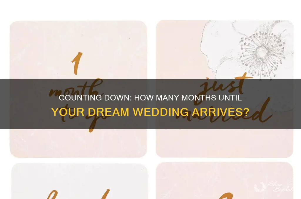 how many months until my wedding