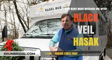 Exploring Missions Beyond Black Veil Hasak: What's Next in the Saga?