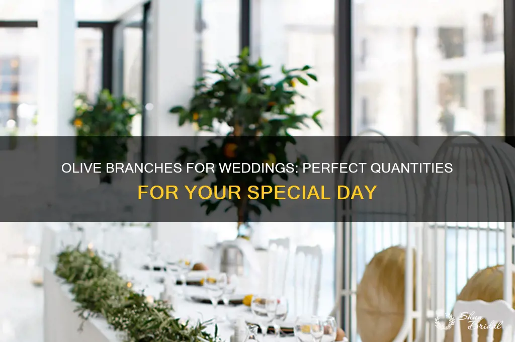 how many olive branches for wedding