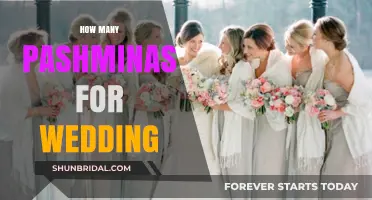 Perfect Pashmina Count: Styling Your Wedding with Elegance and Warmth