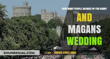 Crowd Size at Harry and Meghan's Royal Wedding Revealed