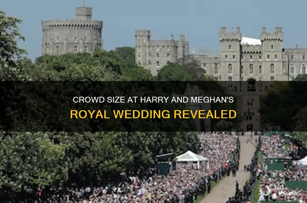 how many people ahowed up for harry and magans wedding
