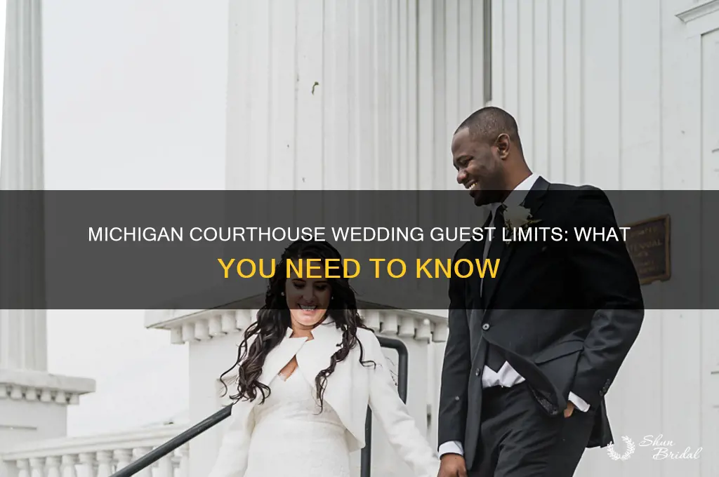 how many people allowed at courthouse wedding michigan