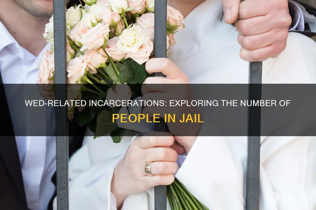 how many people are in jail because of wed