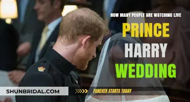 Prince Harry's Royal Wedding: Global Audience and Viewing Statistics