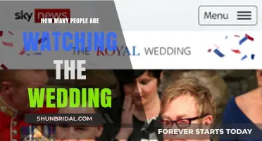Global Audience Tunes In: How Many Are Watching the Wedding?