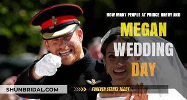 Royal Wedding Guest Count: How Many Attended Harry and Meghan's Big Day?