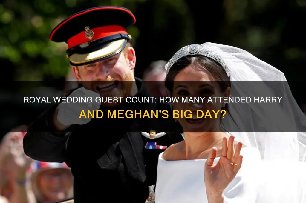 how many people at prince harry and megan wedding day
