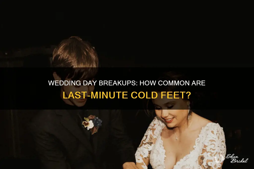 how many people break up on their wedding day